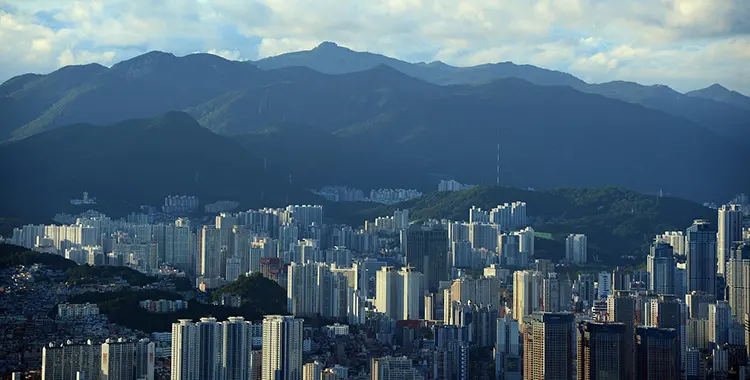 Market insight article. Korea project